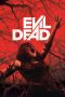 Evil Dead (2013)