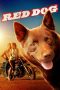 Nonton Film Red Dog (2011) Nonton Film Red Dog (2011)