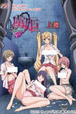 Toriko Hime: Hakudaku Mamire no Reijou (2011)