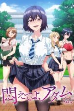 Modaete yo, Adam-kun (Adam's Sweet Agony) (2024)