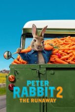 Peter Rabbit 2: The Runaway (2021) Peter Rabbit 2: The Runaway (2021)
