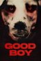 Nonton Film Good Boy (2022)