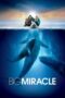Nonton Film Big Miracle (2012) Nonton Film Big Miracle (2012)